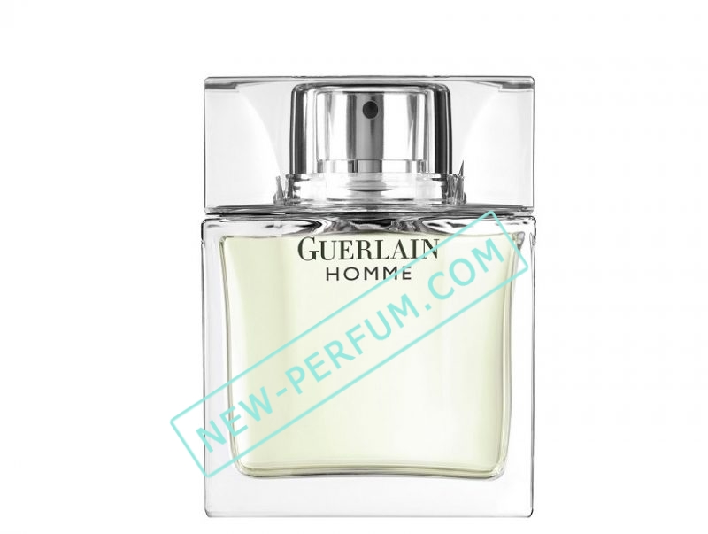 newperfumcom164