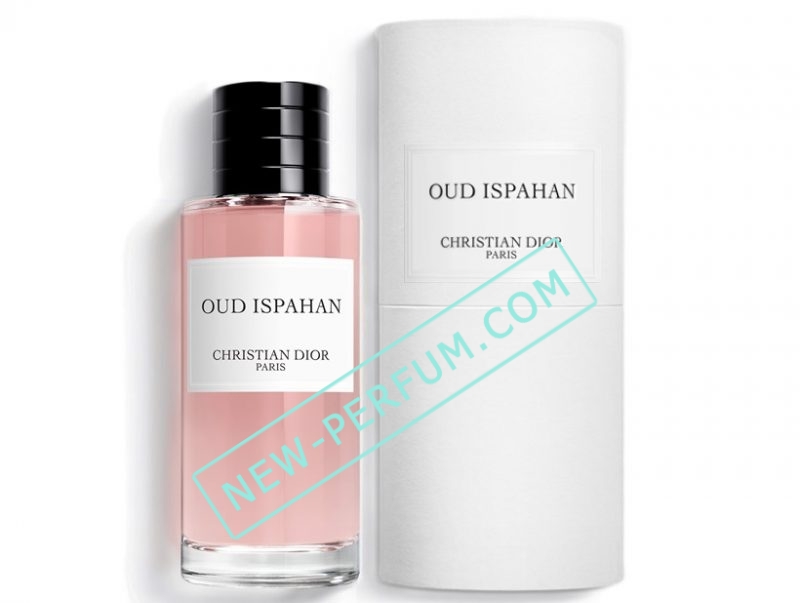 New-Perfum0664-20-3-1 (1) (1) (1) (1) (3)