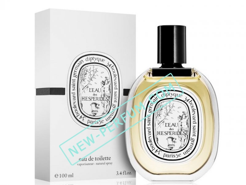 New-Perfum5208-7