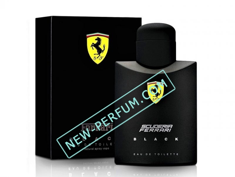 New-Perfum_JP-—-копия-3-—-копия7