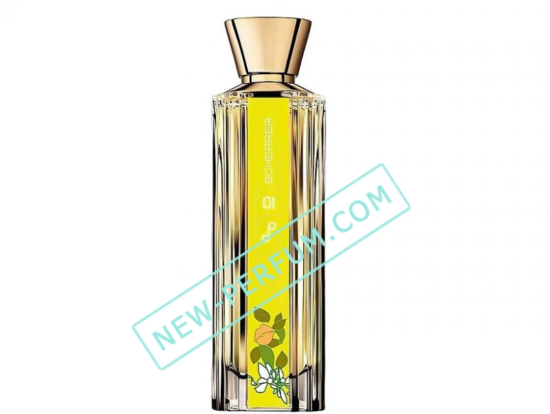 new_perfum271