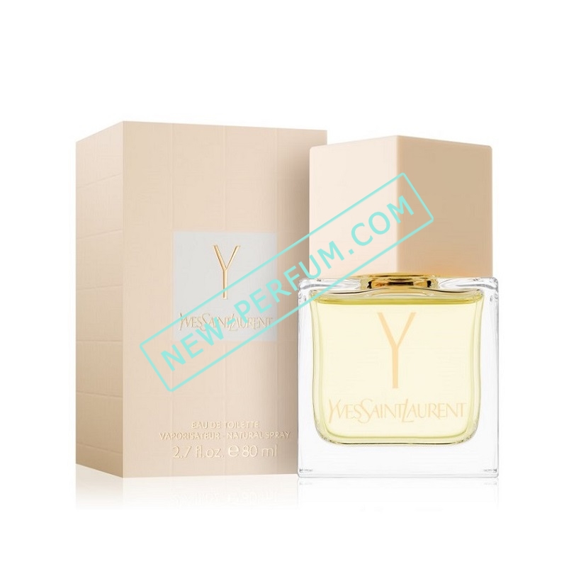 YSL Y — изображение 6
