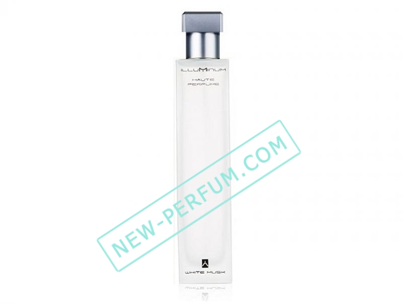 New-Perfumcom61-2 — копия