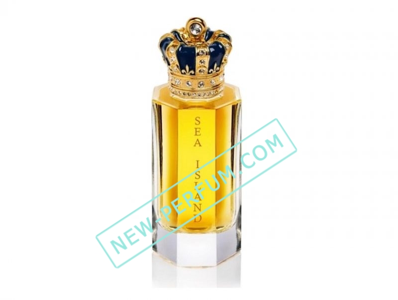 New-Perfum5208-72
