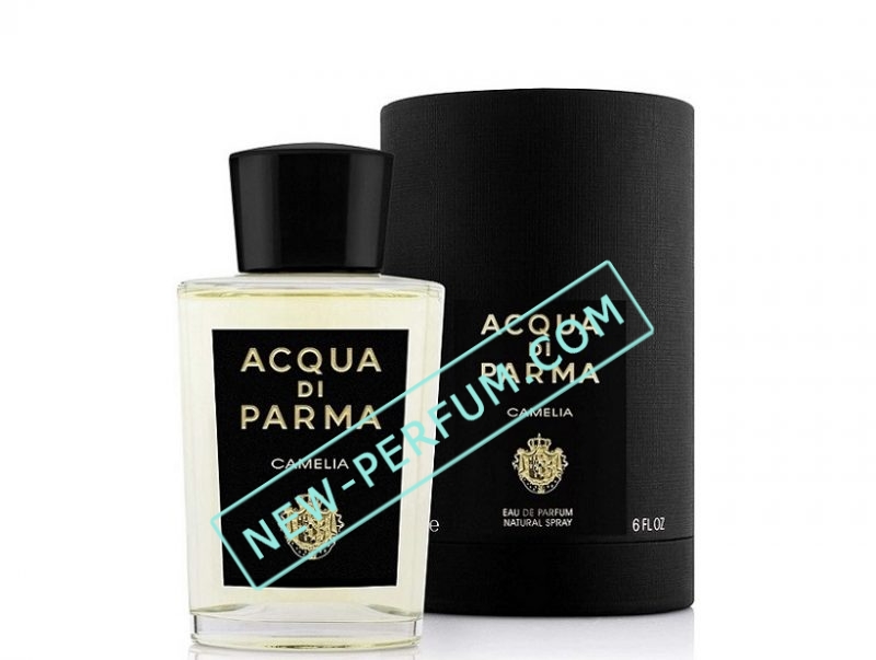 New-Perfum72-9