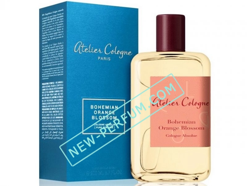 New-Perfum_com020-51
