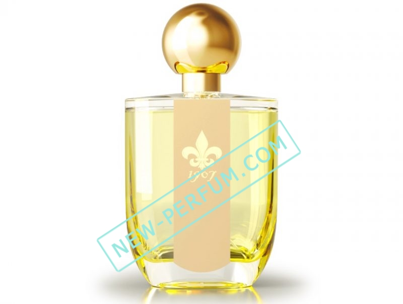 New-Perfum_com-4d5q-13-15
