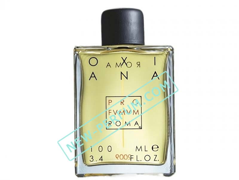 New-Perfum_com020-9