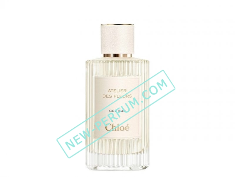 New-Perfum72-39-11