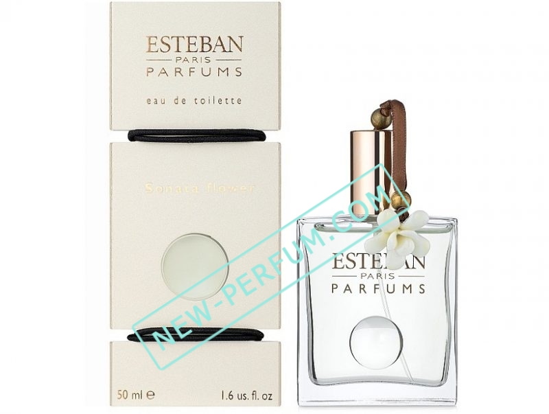 New-Perfum72-39-1 (1) (2)