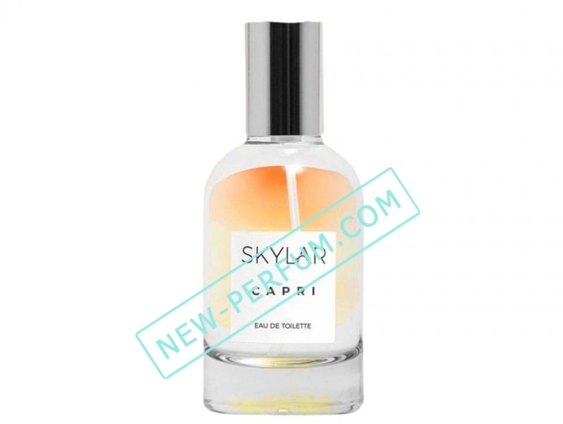 New-Perfum5208-5-6 — копия