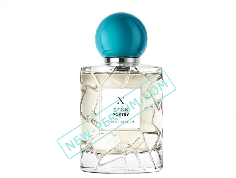 New-Perfum72-34-5