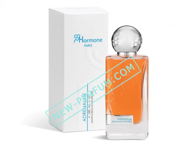 New-Perfum_JP-СNТ_-3 (3)