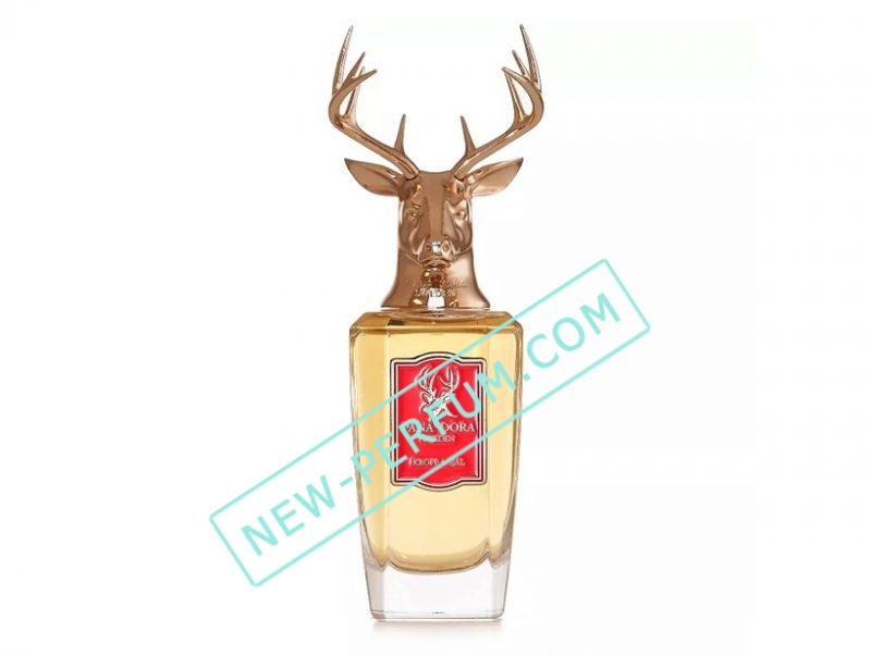 New-Perfum5208-23-2