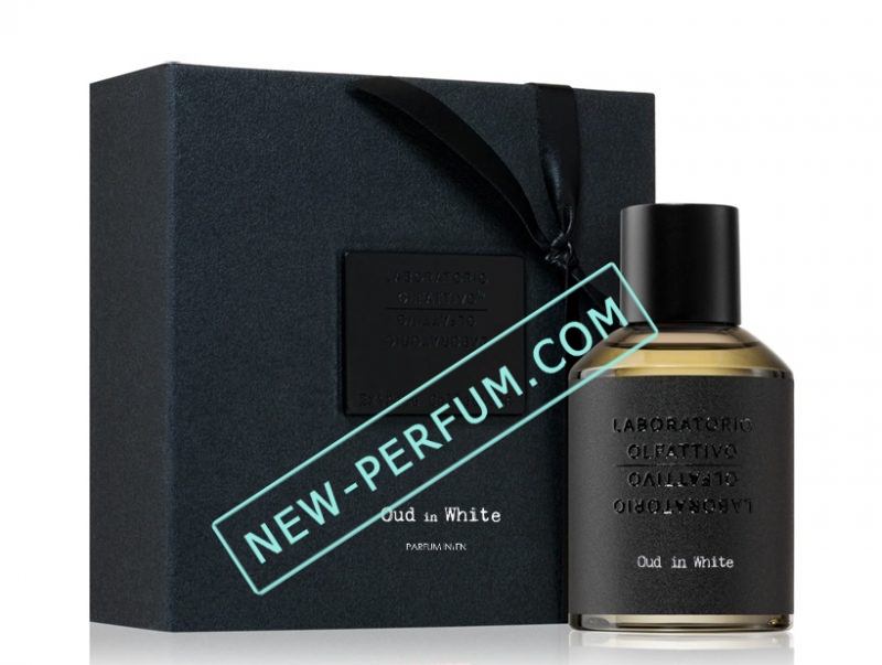 NewPerfum53-26-15